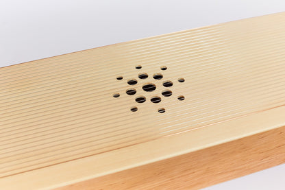 Monochord