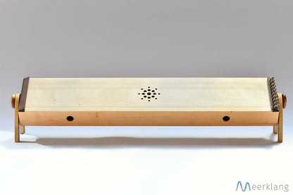 Monochord