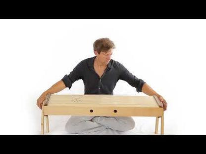 Double monochord