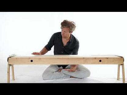 Double monochord